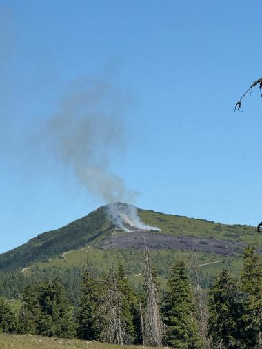 Vâlcea: A patra zi de intervenţii pentru stingerea incendiului de vegetaţie izbucnit în gol alpin, în zona localităţii Câineni