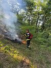 UPDATE - Incendiu în Parcul Naţional Munţii Rodnei. Intervin pompierii de la Inspectoratele pentru Situaţii de Urgenţă Bistriţa-Năsăud şi Maramureş / Incendiul a fost stins