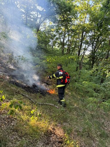 Incendiu în Parcul Naţional Munţii Rodnei. Intervin pompierii de la Inspectoratele pentru Situaţii de Urgenţă Bistriţa-Năsăud şi Maramureş