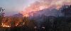UPDATE - Tulcea: Pompierii intervin pentru stingerea unui incendiu de vegetaţie uscată şi fond forestier în apropierea localităţii Chilia / Elicopterul Black Hawk a ajuns la locul intervenţiei / Incendiul a fost stins / Care e suprafaţa afectată - FOTO