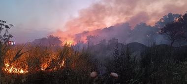 UPDATE - Tulcea: Pompierii intervin pentru stingerea unui incendiu de vegetaţie uscată şi fond forestier în apropierea localităţii Chilia / Elicopterul Black Hawk a ajuns la locul intervenţiei / Incendiul a fost stins / Care e suprafaţa afectată - FOTO