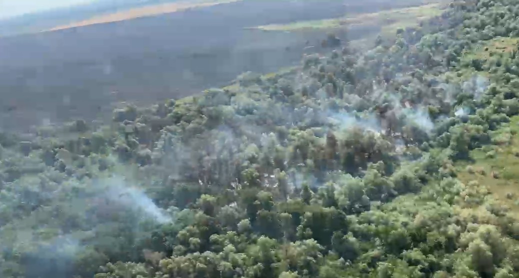 Tulcea: Pompierii acţionează pentru stingerea ultimelor focare ale incendiului din apropierea localităţii Chilia - FOTO