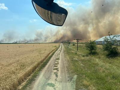Buzău: Incendiu de vegetaţie reaprins în zona Vârfului Penteleu, comuna Gura Teghii/ În comuna Gherăseni arde un lan de grâu VIDEO