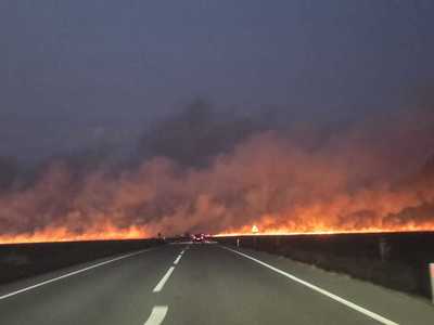 Puternic incendiu de vegetaţie uscată şi mirişte, în judeţul Dolj / Traficul pe DN 56, în zona Maglavit - Moţăţei Gară, oprit - FOTO / VIDEO