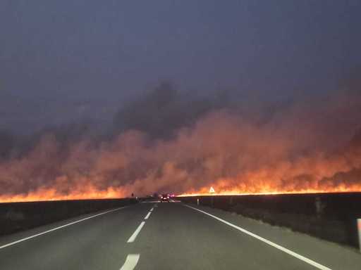 Puternic incendiu de vegetaţie uscată şi mirişte, în judeţul Dolj / Traficul pe DN 56, în zona Maglavit - Moţăţei Gară, oprit - FOTO / VIDEO
