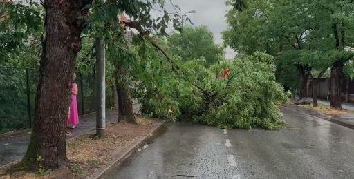 Timiş: Acoperiş căzut peste un copil de 10 ani şi mai mulţi copaci prăbuşiţi peste maşini sau peste drumuri, după o furtună puternică. Micuţul este în stare stabilă şi conştient/ Judeţul se află sub cod roşu de vijelie