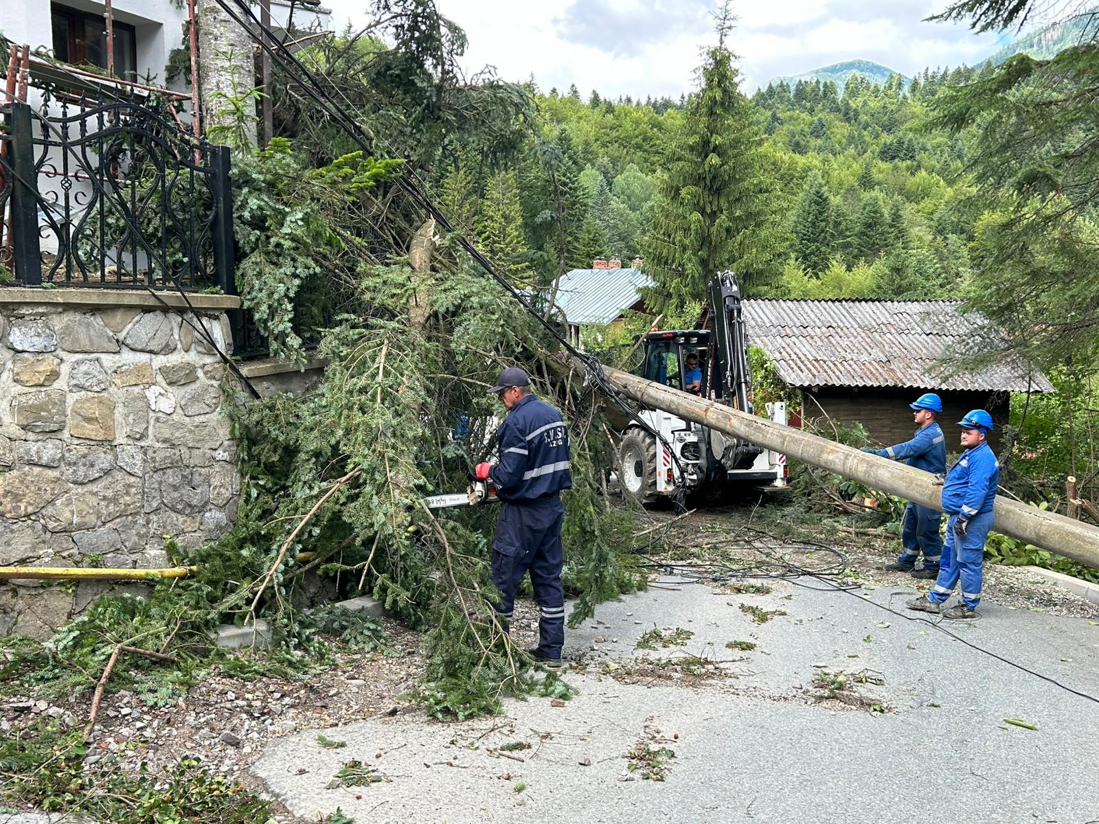 Parcul din centrul oraşului Sinaia e închis, iar pe mai multe străzi traficul e restricţionat din cauza copacilor doborâţi de furtuna de miercuri - FOTO 