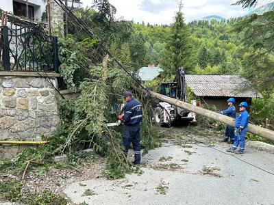 Parcul din centrul oraşului Sinaia e închis, iar pe mai multe străzi traficul e restricţionat din cauza copacilor doborâţi de furtuna de miercuri - FOTO
