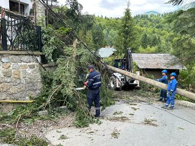Parcul din centrul oraşului Sinaia e închis, iar pe mai multe străzi traficul e restricţionat din cauza copacilor doborâţi de furtuna de miercuri - FOTO

