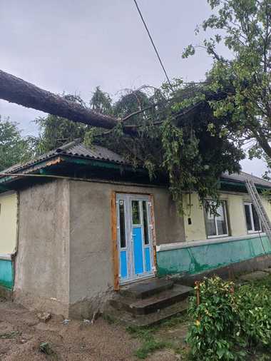 UPDATE - Cod roşu de furtună în judeţele Iaşi şi Neamţ / Localităţile vizate / Drum european blocat de copaci şi stâlpi care au căzut / Un copac a căzut peste o casă