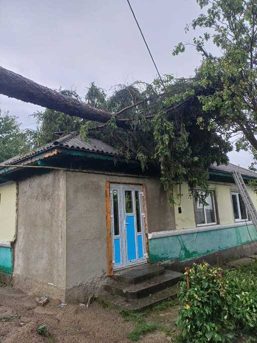UPDATE - Cod roşu de furtună în judeţele Iaşi şi Neamţ / Localităţile vizate / Drum european blocat de copaci şi stâlpi care au căzut / Un copac a căzut peste o casă 