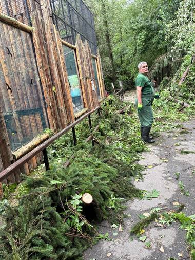 Grădina Zoologică Bucureşti se închide temporar, după furtuna de joi / Toate animalele sunt în siguranţă, fiind permanent supravegheate de echipele specializate - FOTO