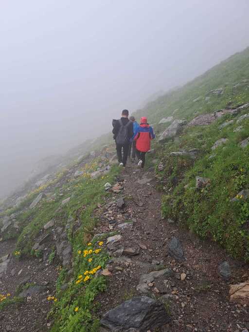 Tânăr de 21 de ani, rănit grav în Munţii Făgăraş, după ce a fost atacat de câinii de la o stână / Cabanierii avertizează că în zonă sunt 6-8 câini din rasa ciobănesc kangal