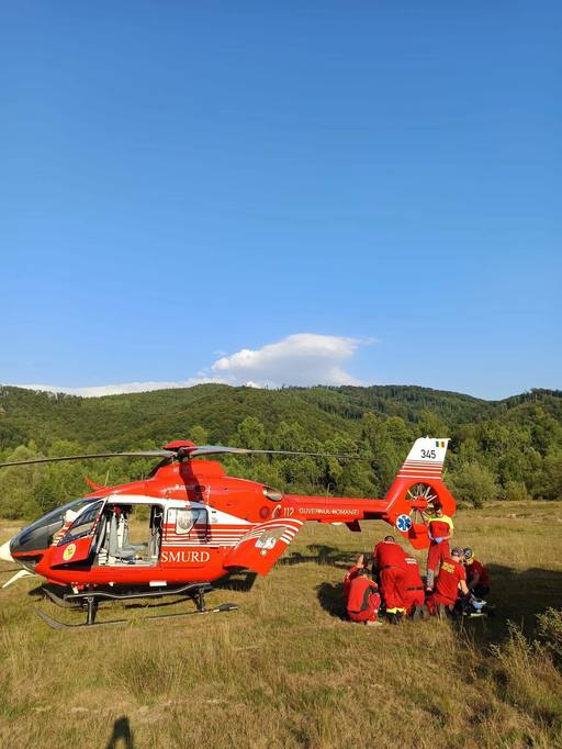 Bihor: Persoană rănită de căderea unui bucăţi masive dintr-un copac uscat, în zona montană / A fost solicitat un elicopter