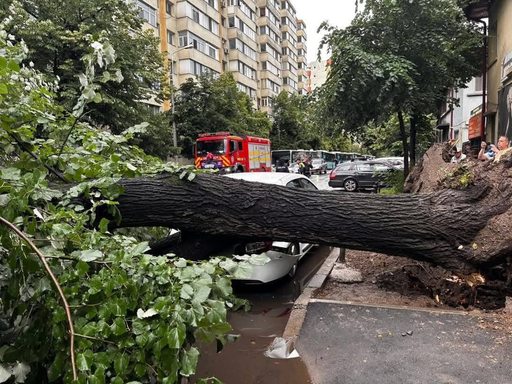 Timişoara: Copac căzut peste un bărbat, în timpul unei vijelii
