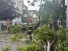 Cluj: Arbori puşi la pământ de vânt, fire de electricitate rupte de furtună. În Cluj Napoca, un cablu de curent a căzut peste un tramvai. Autorităţile raportează că nu sunt victime
