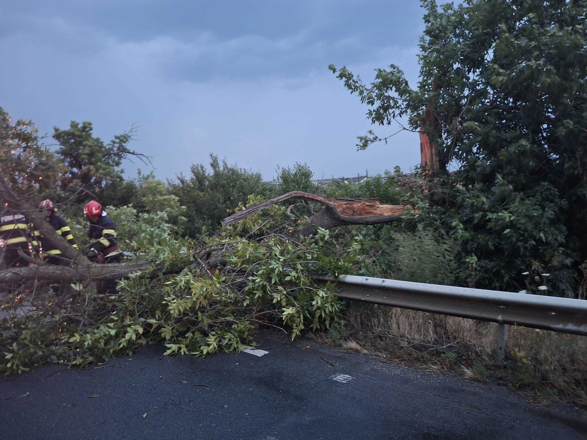 Peste 2200 de consumatori din judeţul Bihor nu au în continuare energie electrică în urma furtunii de sâmbătă seară