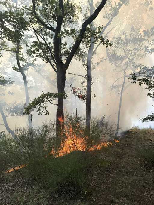 UPDATE - Incendiu violent la marginea Ploieştiului. Focul s-a extins pe 30 de hectare şi există riscul să ajungă la un cartier de blocuri din satul Chiţorani/  Focul s-a propagat la două clădiri/ Circulaţia între Ploieşti şi Buzău este restricţionată