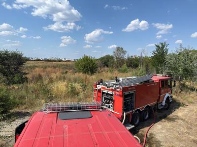 Incendiu de vegetaţie uscată în apropiere de Delta Văcăreşti. Un bărbat care s-a apropiat de zona afectată a ajuns la spital, după ce a fost expus la fum