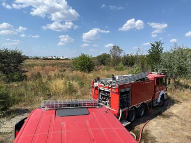 Incendiu de vegetaţie uscată în apropiere de Delta Văcăreşti. Un bărbat care s-a apropiat de zona afectată a ajuns la spital, după ce a fost expus la fum