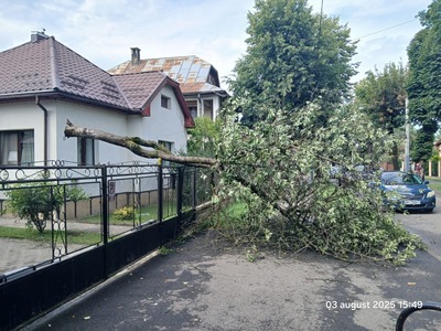 Maramureş: Locuinţe, subsoluri şi curţi inundate, după o rupere de nori la Sighetu Marmaţiei - FOTO