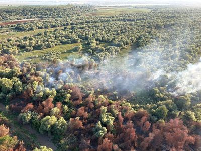 UPDATE - Tulcea: Incendiu vegetaţie uscată, stuf şi fond forestier în localitatea Chilia Veche / Elicopter Black Haw, trimis la intervenţie / Peste 50 de tone de apă aruncate - FOTO / VIDEO