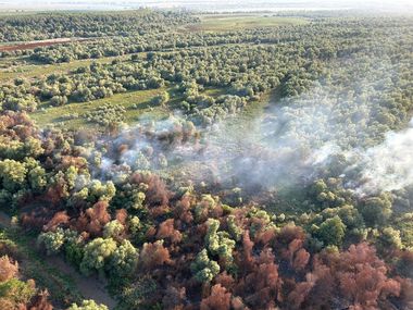 UPDATE - Tulcea: Incendiu vegetaţie uscată, stuf şi fond forestier în localitatea Chilia Veche / Elicopter Black Haw, trimis la intervenţie / Peste 50 de tone de apă aruncate - FOTO / VIDEO