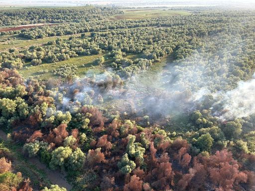 UPDATE - Tulcea: Incendiu vegetaţie uscată, stuf şi fond forestier în localitatea Chilia Veche / Elicopter Black Haw, trimis la intervenţie / Peste 50 de tone de apă aruncate - FOTO / VIDEO