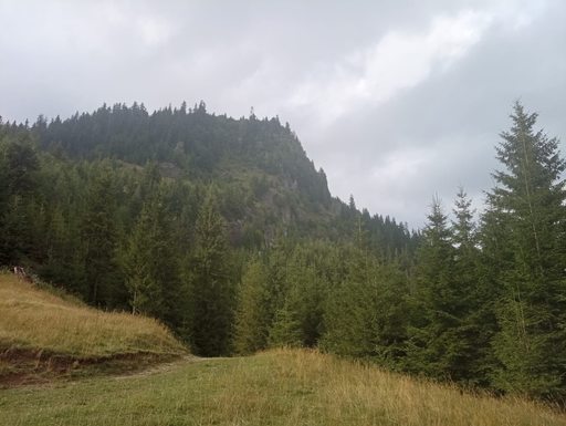 Doi turişti străini atacaţi de câini în Munţii Rodnei 