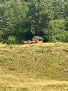 Intervenţie contracronometru a Salvamont Maramureş, pentru preluarea unui copil care ar fi fost muşcat de un şarpe