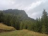 Atacurile câinilor de la stâne asupra turiştilor, tot mai frecvente /Salvamont: Sunt un pericol real / Sfaturi pentru turişti şi apel către ciobani din partea salvatorilor