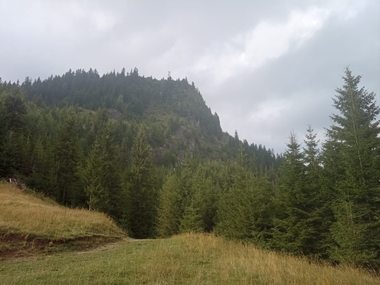 Atacurile câinilor de la stâne asupra turiştilor, tot mai frecvente /Salvamont: Sunt un pericol real / Sfaturi pentru turişti şi apel către ciobani din partea salvatorilor