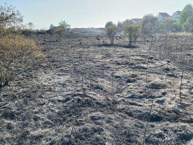 UPDATE - Incendiu de vegetaţie uscată, în apropierea unui cartier de blocuri ANL din municipiul Galaţi/ Focul a fost stins