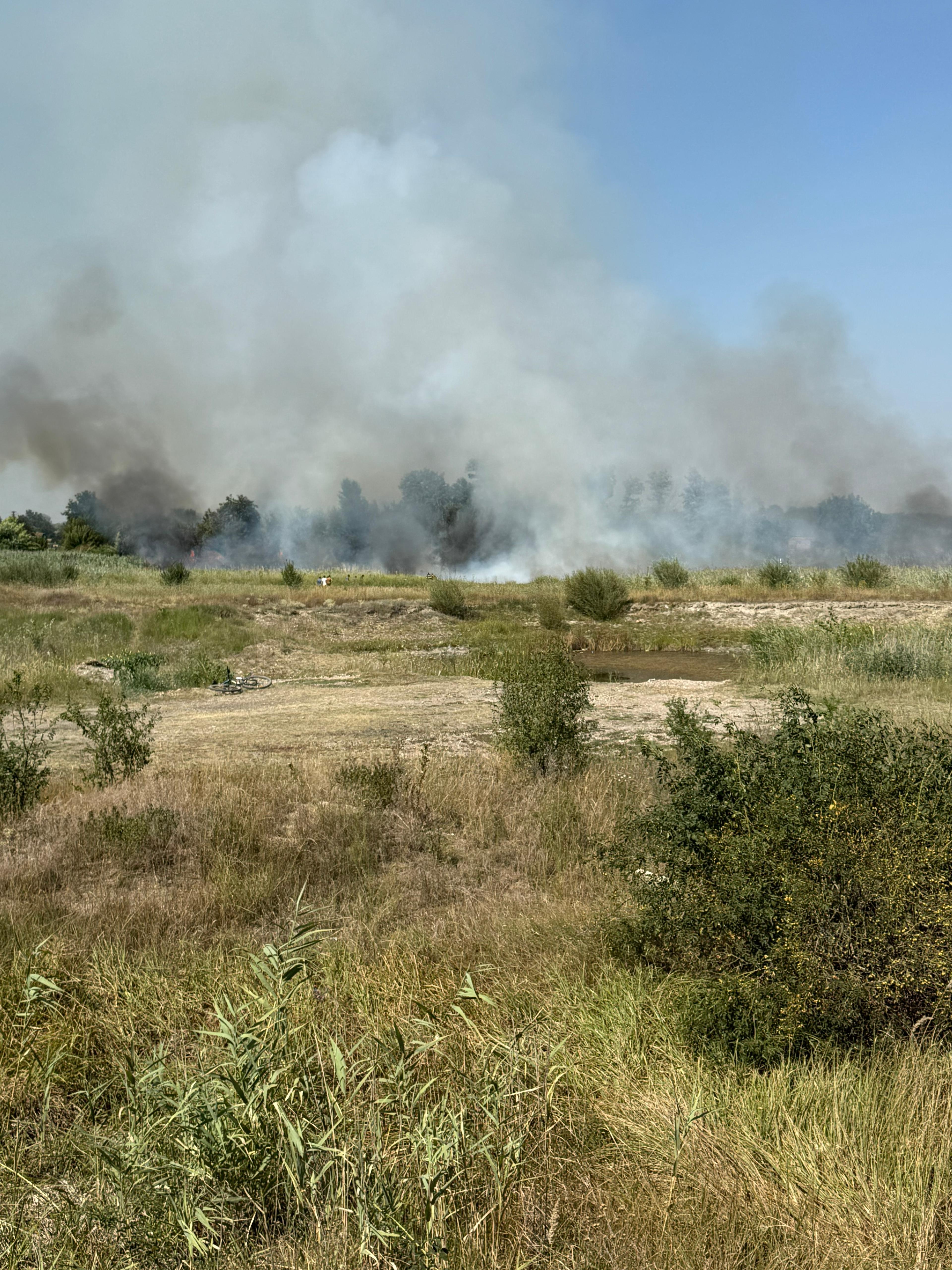 Puternic incendiu de vegetaţie în judeţul Vrancea – A fost activată grupa operativă a Inspectoratului pentru Situaţii de Urgenţă ”Anghel Saligny” - FOTO / VIDEO