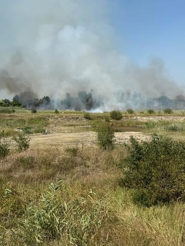 Puternic incendiu de vegetaţie în judeţul Vrancea – A fost activată grupa operativă a Inspectoratului pentru Situaţii de Urgenţă ”Anghel Saligny” - FOTO / VIDEO