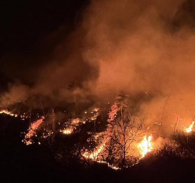 UPDATE Zeci de hectare de vegetaţie uscată, cuprinse de flăcări în urma unor incendii puternice în Mehedinţi şi Giurgiu/ În Mehedinţi, aflat sub avertizare Cod roşu de caniculă, focul ameninţă gospodării şi o fermă/ A fost transmis mesaj prin RO-ALERT