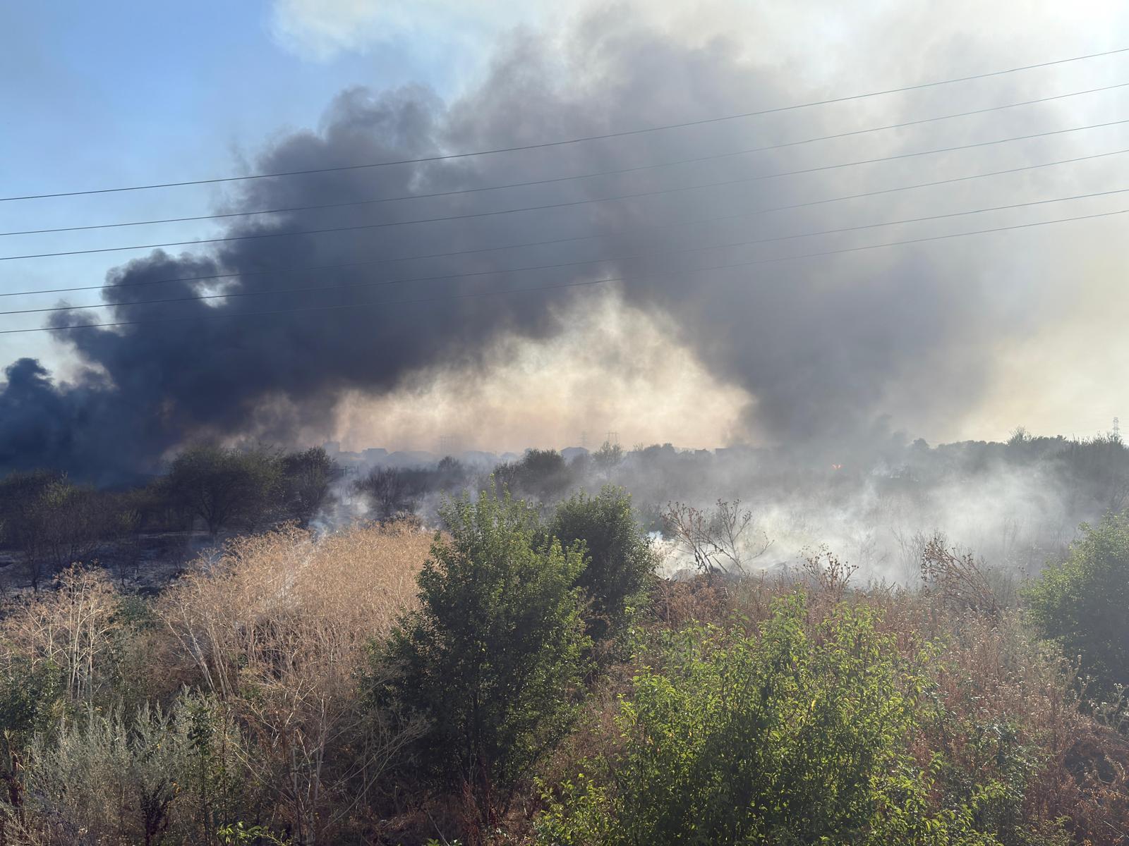 UPDATE - Ilfov: Incendiu de vegetaţie în localitatea Clinceni, existând pericolul extinderii la case/ A fost emis mesaj RO-Alert, din cauza degajărilor mari de fum/ Persoanele din zonă, evacuate - VIDEO