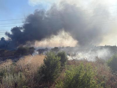 UPDATE - Ilfov: Incendiu de vegetaţie în localitatea Clinceni, existând pericolul extinderii la case/ A fost emis mesaj RO-Alert, din cauza degajărilor mari de fum/ Circa 70 de persoane din zonă, evacuate/ Incendiul, localizat - FOTO, VIDEO