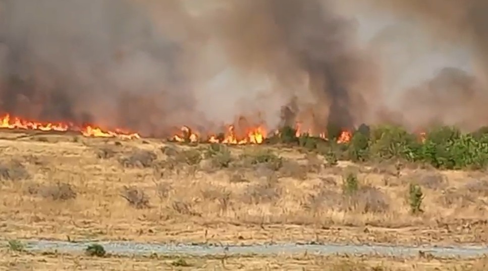 Gorj: Incendiu de amploare la periferia municipiului Târgu Jiu. Focul s-a extins pe 200 de hectare de teren şi a afectat o construcţie a unei ferme şi mai multe autovehicule 