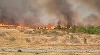 UPDATE - Incendiul de amploare de la periferia municipiului Târgu Jiu a fost stins /  Focul s-a extins pe 200 de hectare de teren şi a afectat o construcţie a unei ferme şi mai multe autovehicule - VIDEO 
