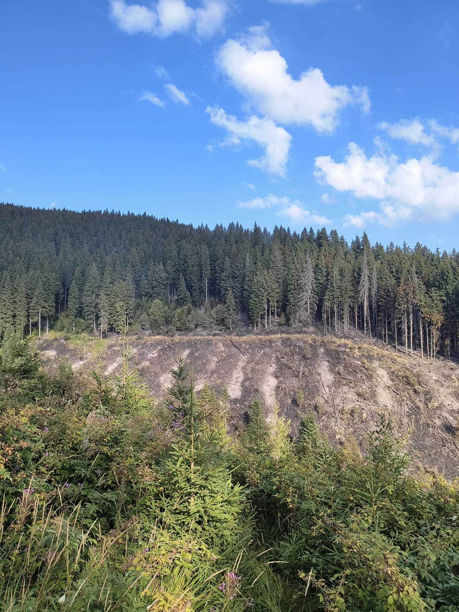 Vâlcea: A treia zi de intervenţie a pompierilor pentru stingerea unui incendiu de fond forestier care afectează o suprafaţă de trei hectare - FOTO 