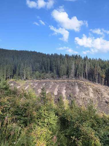 Vâlcea: A treia zi de intervenţie a pompierilor pentru stingerea unui incendiu de fond forestier care afectează o suprafaţă de trei hectare - FOTO
