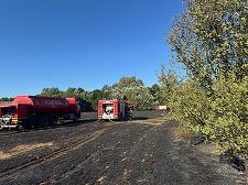 Incendiu într-o localitate din Ilfov/ Şapte hectare de vegetaţie uscată, o casă şi două maşini, cuprinse de flăcări/ Intervenţii ale pompierilor pentru limitarea extinderii incendiului spre pădure - FOTO