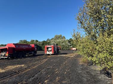 Incendiu într-o localitate din Ilfov/ Şapte hectare de vegetaţie uscată, o casă şi două maşini, cuprinse de flăcări/ Intervenţii ale pompierilor pentru limitarea extinderii incendiului spre pădure - FOTO
