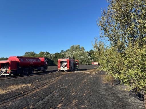 Incendiu într-o localitate din Ilfov/ Şapte hectare de vegetaţie uscată, o casă şi două maşini, cuprinse de flăcări/ Intervenţii ale pompierilor pentru limitarea extinderii incendiului spre pădure - FOTO