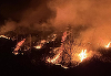 Incendiu violent de vegetaţie uscată/ S-a extins la un parc auto, unde ard trei TIR-uri şi două microbuze
