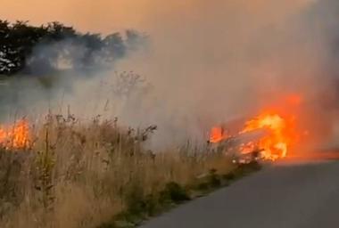 Incendiu de proporţii la o cultură de viţă-de-vie, în judeţul Teleorman / Focul s-a extins pe 80 de hectare şi e greu de stins, din cauza vântului puternic