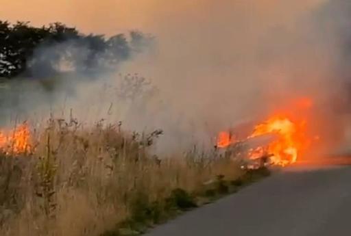 Incendiu de proporţii la o cultură de viţă-de-vie, în judeţul Teleorman / Focul s-a extins pe 80 de hectare şi e greu de stins, din cauza vântului puternic