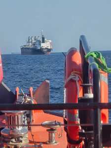 Un marinar de pe o navă sub pavilion San Marino, aflată la 10 mile de rada Sulina, a avut nevoie de îngrijiri medicale / A intervenit Agenţia Română de Salvare a Vieţii Omeneşti pe Mare

