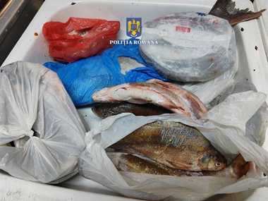 Brăila: Şase ambarcaţiuni de pescuit, 12 motoare şi ustensile de pescuit, confiscate în urma a 17 percheziţii făcute în mai multe localităţi la persoane suspectate de pescuit comercial ilegal - FOTO